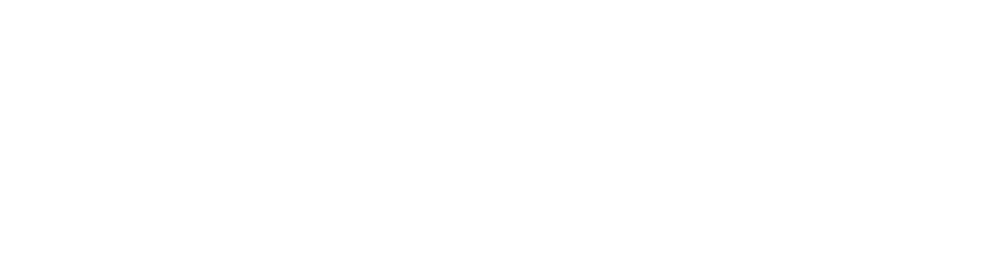 Litheman Holding